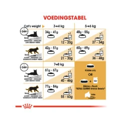 Royal Canin Adult Bengal - Kattenvoer 19 Royal Canin Adult Bengal - Kattenvoer -Beste Dierenartikelen Winkel royal canin adult bengal kattenvoer 175537 1000 none