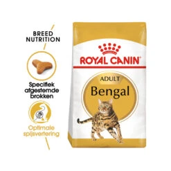Royal Canin Adult Bengal - Kattenvoer 12 Royal Canin Adult Bengal - Kattenvoer -Beste Dierenartikelen Winkel royal canin adult bengal kattenvoer 175543 1000 none
