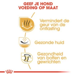 Royal Canin Bulldog Adult - Hondenvoer 13 Royal Canin Bulldog Adult - Hondenvoer -Beste Dierenartikelen Winkel royal canin bulldog adult hondenvoer 159767 1000 none