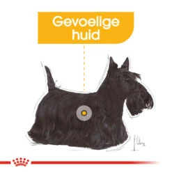 Royal Canin Dermacomfort Wet - Hondenvoer 15 Royal Canin Dermacomfort Wet - Hondenvoer -Beste Dierenartikelen Winkel royal canin dermacomfort wet hondenvoer 131624 1000 none