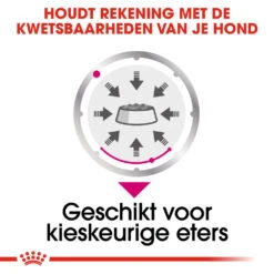 Royal Canin Exigent Wet - Hondenvoer -Beste Dierenartikelen Winkel royal canin exigent wet hondenvoer 131888 1000 none