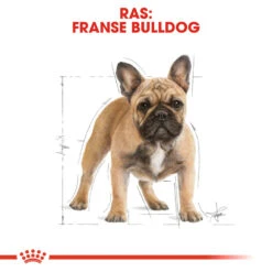 Royal Canin French Bulldog Adult - Hondenvoer -Beste Dierenartikelen Winkel royal canin french bulldog adult hondenvoer 138628 1000 none