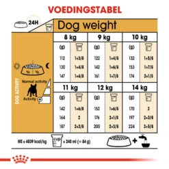 Royal Canin French Bulldog Adult - Hondenvoer -Beste Dierenartikelen Winkel royal canin french bulldog adult hondenvoer 138664 1000 none