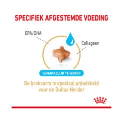 Royal Canin German Shepherd Adult 5+ -Beste Dierenartikelen Winkel royal canin german shepherd adult 5 165100 2000 none