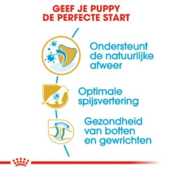 Royal Canin German Shepherd Puppy- Hondenvoer -Beste Dierenartikelen Winkel royal canin german shepherd puppy hondenvoer 138835 1000 none