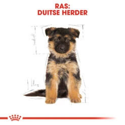 Royal Canin German Shepherd Puppy- Hondenvoer -Beste Dierenartikelen Winkel royal canin german shepherd puppy hondenvoer 138844 1000 none