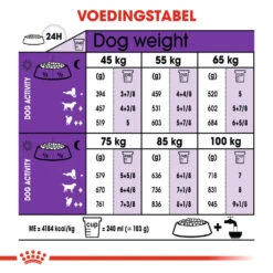Royal Canin Giant Adult - Hondenvoer -Beste Dierenartikelen Winkel royal canin giant adult hondenvoer 128366 1000 none