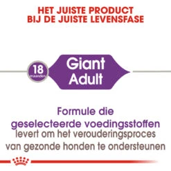 Royal Canin Giant Adult - Hondenvoer -Beste Dierenartikelen Winkel royal canin giant adult hondenvoer 128390 1000 none