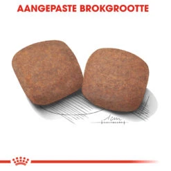 Royal Canin Giant Adult - Hondenvoer -Beste Dierenartikelen Winkel royal canin giant adult hondenvoer 128399 1000 none