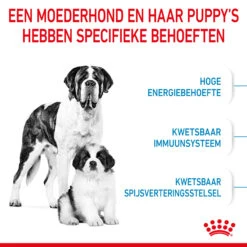 Royal Canin Giant Starter Mother & Babydog - Hondenvoer 13 Royal Canin Giant Starter Mother & Babydog - Hondenvoer -Beste Dierenartikelen Winkel royal canin giant starter mother babydog hondenvoer 206702 2000 none