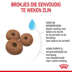 Royal Canin Giant Starter Mother & Babydog - Hondenvoer 15 Royal Canin Giant Starter Mother & Babydog - Hondenvoer -Beste Dierenartikelen Winkel royal canin giant starter mother babydog hondenvoer 206708 2000 none