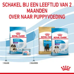 Royal Canin Giant Starter Mother & Babydog - Hondenvoer 16 Royal Canin Giant Starter Mother & Babydog - Hondenvoer -Beste Dierenartikelen Winkel royal canin giant starter mother babydog hondenvoer 206711 2000 none