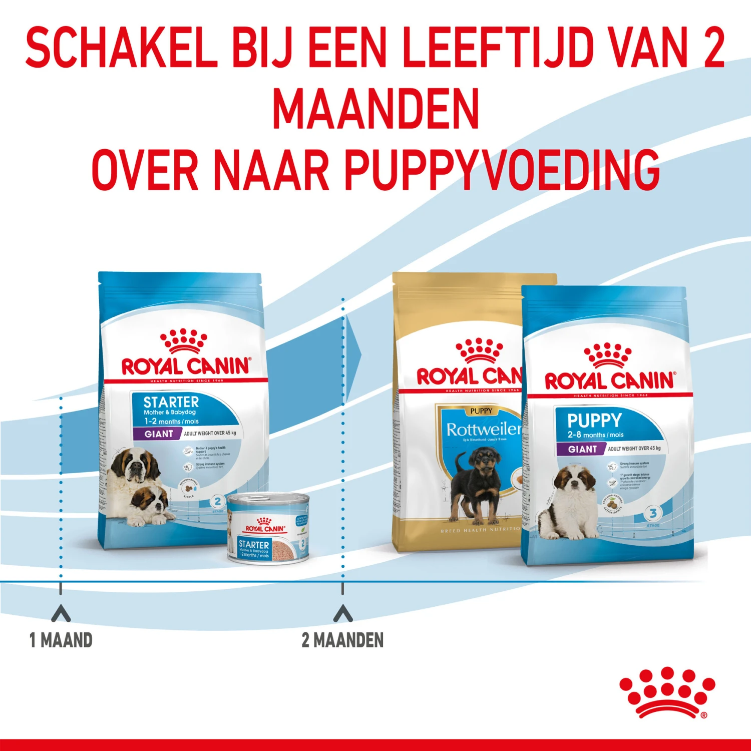 Royal Canin Giant Starter Mother & Babydog - Hondenvoer 7 Royal Canin Giant Starter Mother & Babydog - Hondenvoer - Afbeelding 7