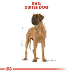 Royal Canin Great Dane Adult - Hondenvoer -Beste Dierenartikelen Winkel royal canin great dane adult hondenvoer 139000 1000 none