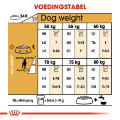 Royal Canin Great Dane Adult - Hondenvoer -Beste Dierenartikelen Winkel royal canin great dane adult hondenvoer 139036 1000 none