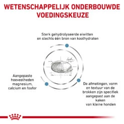 Royal Canin Hypoallergenic Kleine Hond -Beste Dierenartikelen Winkel royal canin hypoallergenic kleine hond 153448 1000 none