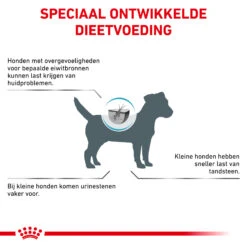 Royal Canin Hypoallergenic Kleine Hond -Beste Dierenartikelen Winkel royal canin hypoallergenic kleine hond 205538 2000 none