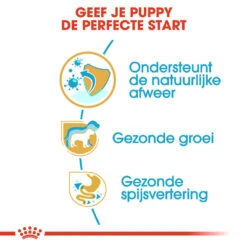 Royal Canin Jack Russell Terrier Puppy - Hondenvoer -Beste Dierenartikelen Winkel royal canin jack russell terrier puppy hondenvoer 139315 1000 none