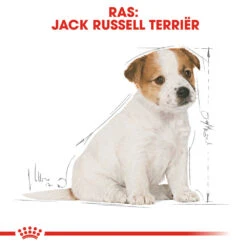 Royal Canin Jack Russell Terrier Puppy - Hondenvoer -Beste Dierenartikelen Winkel royal canin jack russell terrier puppy hondenvoer 139324 1000 none