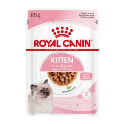 Royal Canin Kitten In Gravy - Kattenvoer -Beste Dierenartikelen Winkel royal canin kitten in gravy kattenvoer 207113 2000 none
