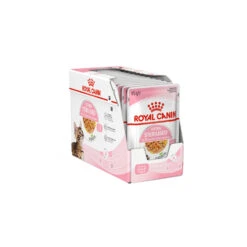 Royal Canin Kitten Sterilised In Jelly - Maaltijdzakje -Beste Dierenartikelen Winkel royal canin kitten sterilised in jelly kattenvoer 201959 1500 none