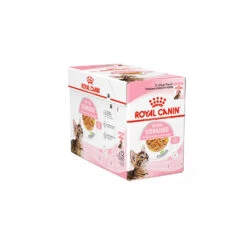 Royal Canin Kitten Sterilised In Jelly - Maaltijdzakje -Beste Dierenartikelen Winkel royal canin kitten sterilised in jelly kattenvoer 201965 1500 none