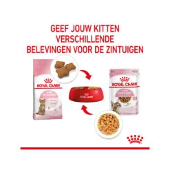 Royal Canin Kitten Sterilised In Jelly - Maaltijdzakje -Beste Dierenartikelen Winkel royal canin kitten sterilised in jelly maaltijdzakje 207212 2000 none