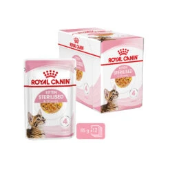 Royal Canin Kitten Sterilised In Jelly - Maaltijdzakje -Beste Dierenartikelen Winkel royal canin kitten sterilised in jelly maaltijdzakje 207230 2000 none