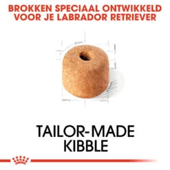 Royal Canin Labrador Retriever Adult - Hondenvoer 16 Royal Canin Labrador Retriever Adult - Hondenvoer -Beste Dierenartikelen Winkel royal canin labrador retriever adult hondenvoer 139366 1000 none