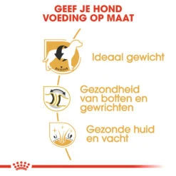 Royal Canin Labrador Retriever Adult - Hondenvoer 15 Royal Canin Labrador Retriever Adult - Hondenvoer -Beste Dierenartikelen Winkel royal canin labrador retriever adult hondenvoer 139375 1000 none