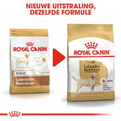 Royal Canin Labrador Retriever Adult - Hondenvoer 18 Royal Canin Labrador Retriever Adult - Hondenvoer -Beste Dierenartikelen Winkel royal canin labrador retriever adult hondenvoer 139384 1000 none