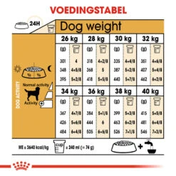 Royal Canin Labrador Retriever Adult - Hondenvoer 19 Royal Canin Labrador Retriever Adult - Hondenvoer -Beste Dierenartikelen Winkel royal canin labrador retriever adult hondenvoer 139393 1000 none