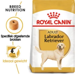 Royal Canin Labrador Retriever Adult - Hondenvoer 13 Royal Canin Labrador Retriever Adult - Hondenvoer -Beste Dierenartikelen Winkel royal canin labrador retriever adult hondenvoer 140612 1000 none
