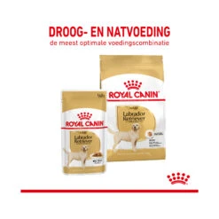 Royal Canin Labrador Retriever Adult Wet 13 Royal Canin Labrador Retriever Adult Wet -Beste Dierenartikelen Winkel royal canin labrador retriever adult wet 165763 2000 none