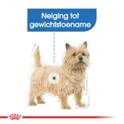Royal Canin Light Weight Care Wet - Hondenvoer 13 Royal Canin Light Weight Care Wet - Hondenvoer -Beste Dierenartikelen Winkel royal canin light weight care wet hondenvoer 131435 1000 none