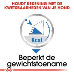 Royal Canin Light Weight Care Wet - Hondenvoer 15 Royal Canin Light Weight Care Wet - Hondenvoer -Beste Dierenartikelen Winkel royal canin light weight care wet hondenvoer 131453 1000 none