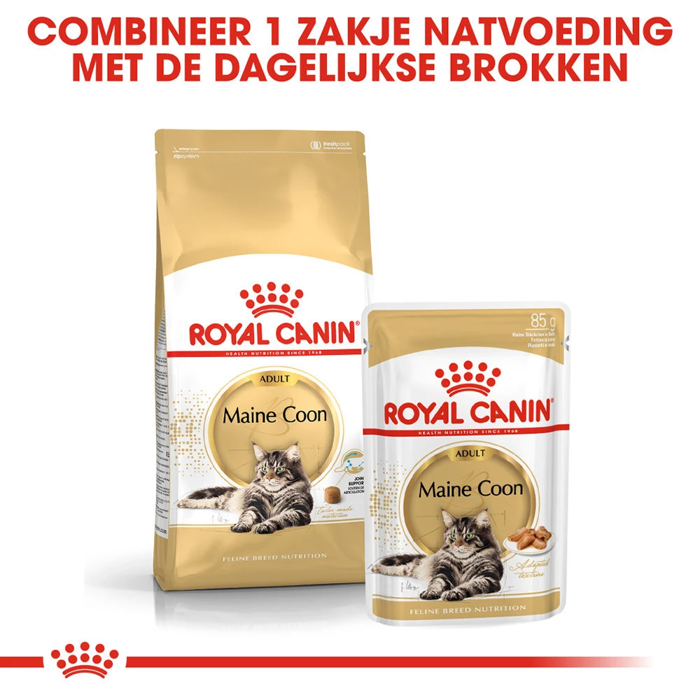 Royal Canin Maine Coon Adult Wet - Kattenvoer 6 Royal Canin Maine Coon Adult Wet - Kattenvoer - Afbeelding 6