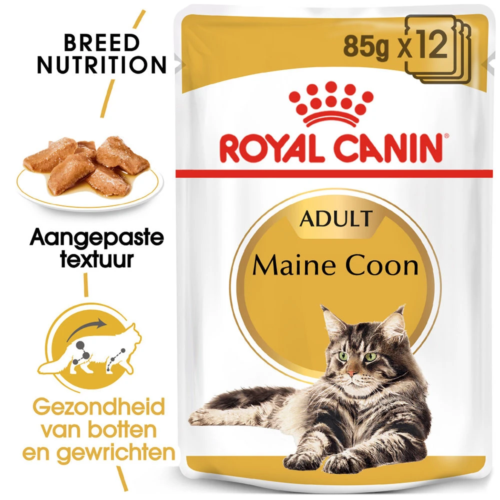 Royal Canin Maine Coon Adult Wet - Kattenvoer 2 Royal Canin Maine Coon Adult Wet - Kattenvoer - Afbeelding 2