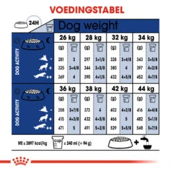 Royal Canin Maxi Adult 5+ - Hondenvoer 22 Royal Canin Maxi Adult 5+ - Hondenvoer -Beste Dierenartikelen Winkel royal canin maxi adult 5 hondenvoer 128213 1000 none