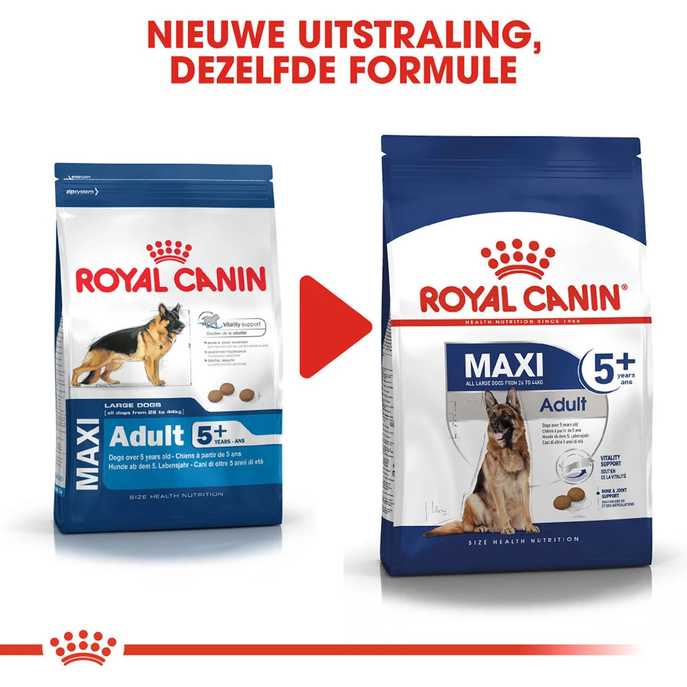 Royal Canin Maxi Adult 5+ - Hondenvoer 9 Royal Canin Maxi Adult 5+ - Hondenvoer - Afbeelding 9