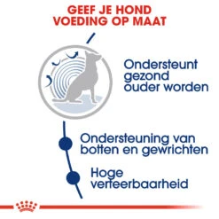 Royal Canin Maxi Ageing 8+ - Hondenvoer -Beste Dierenartikelen Winkel royal canin maxi ageing 8 hondenvoer 128711 1000 none
