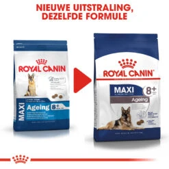 Royal Canin Maxi Ageing 8+ - Hondenvoer -Beste Dierenartikelen Winkel royal canin maxi ageing 8 hondenvoer 128738 1000 none