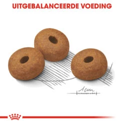 Royal Canin Maxi Light Weight Care - Hondenvoer 16 Royal Canin Maxi Light Weight Care - Hondenvoer -Beste Dierenartikelen Winkel royal canin maxi light weight care hondenvoer 132623 1000 none