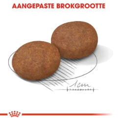 Royal Canin Medium Adult 7+ - Hondenvoer -Beste Dierenartikelen Winkel royal canin medium adult 7 hondenvoer 128501 1000 none