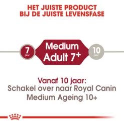 Royal Canin Medium Adult 7+ - Hondenvoer -Beste Dierenartikelen Winkel royal canin medium adult 7 hondenvoer 144800 1000 none