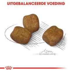 Royal Canin Mini Dental Care - Hondenvoer -Beste Dierenartikelen Winkel royal canin mini dental care hondenvoer 131009 1000 none