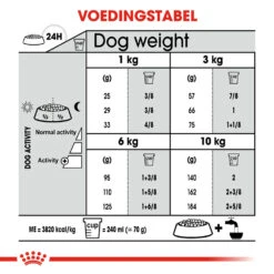 Royal Canin Mini Dental Care - Hondenvoer -Beste Dierenartikelen Winkel royal canin mini dental care hondenvoer 131018 1000 none