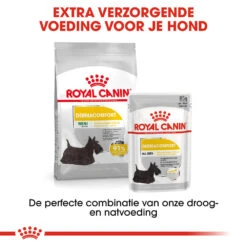 Royal Canin Dermacomfort Mini - Hondenvoer 26 Royal Canin Dermacomfort Mini - Hondenvoer -Beste Dierenartikelen Winkel royal canin mini dermacomfort hondenvoer 133010 1000 none