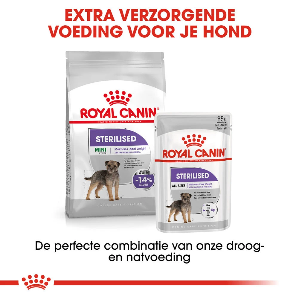Royal Canin Mini Sterilised - Hondenvoer 9 Royal Canin Mini Sterilised - Hondenvoer - Afbeelding 9