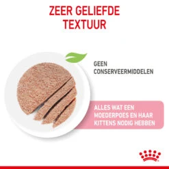 Royal Canin Mother & Babycat Mousse - Kattenvoer -Beste Dierenartikelen Winkel royal canin mother babycat mousse kattenvoer 207050 2000 none